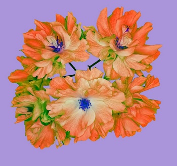 F 055B